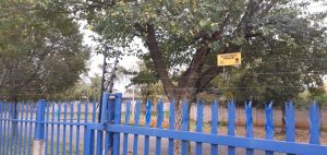 94483071_4259619184052106_5818911040825458688_o