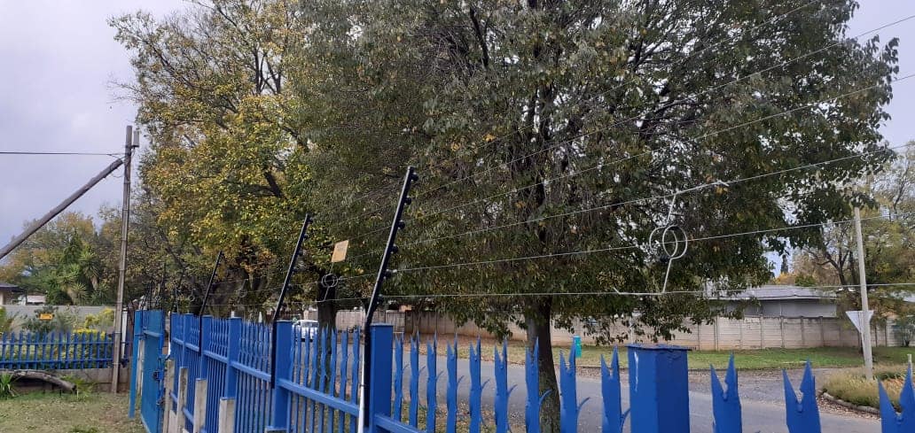 94625789_4259618170718874_6523055991108403200_o